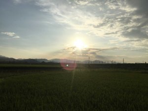 RB-Kyoto-Disa-Hagstrom1