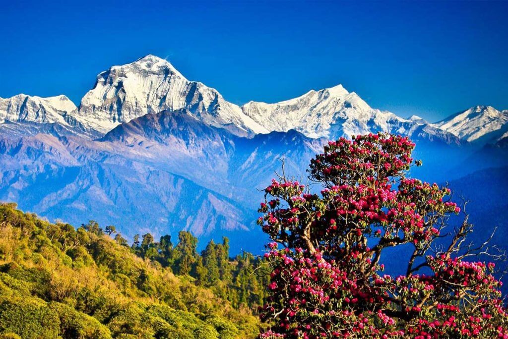 Nepal är ett vackert land som lockar med varierade sevärdheter: bland annat den färgstarka huvudstaden Katmandu och världens högsta berg, Mount Everest. Du möjlighet att vara med om ett spännande äventyr och samtidigt vara med om att hjälpa Nepals invånare. Ta chansen och gör en insats med Avistas volontärprogram i Nepal!